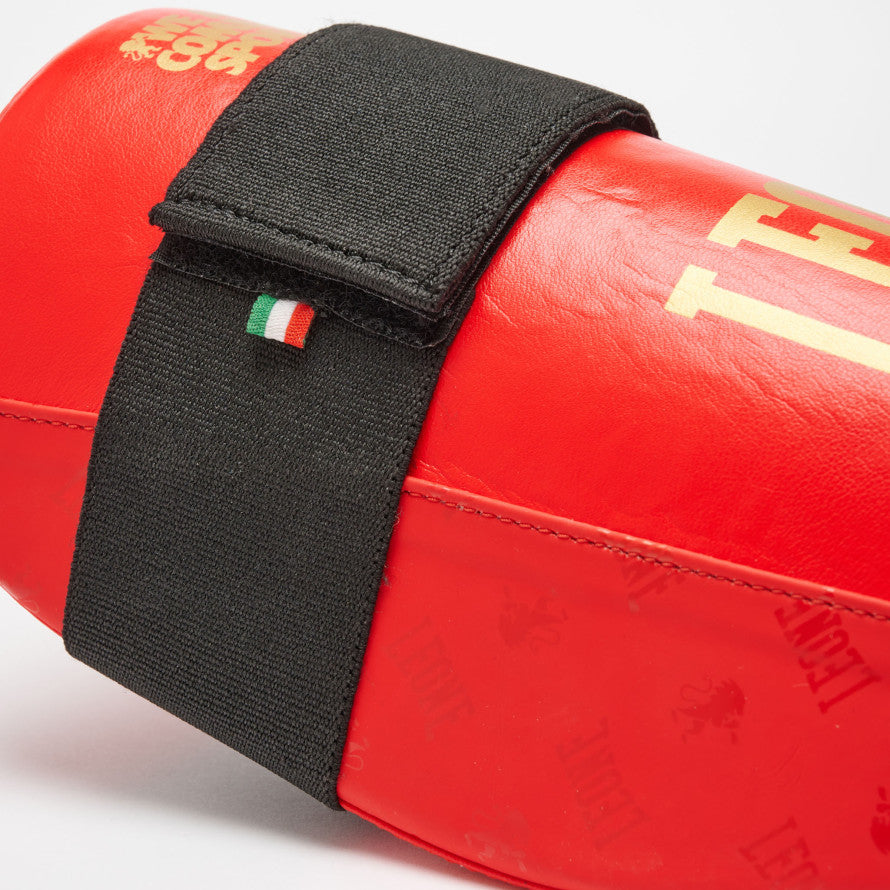 PARATIBIA DNA LEONE 1947