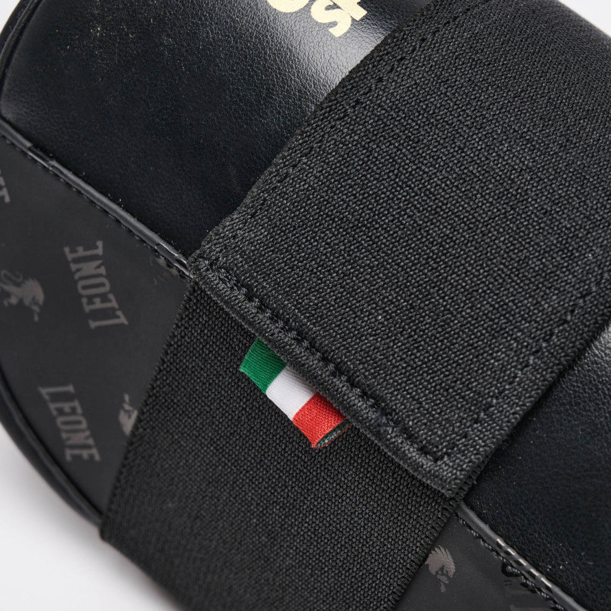 PARATIBIA DNA LEONE 1947