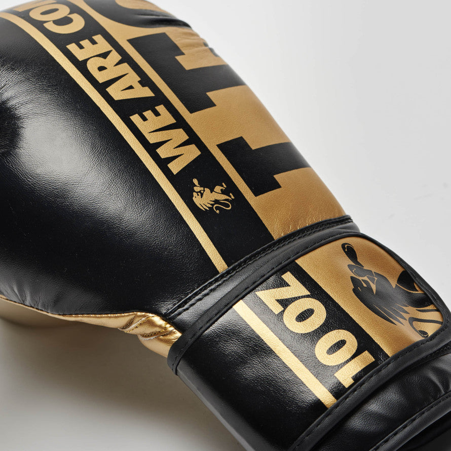 GUANTI BOXE NEXPLOSION