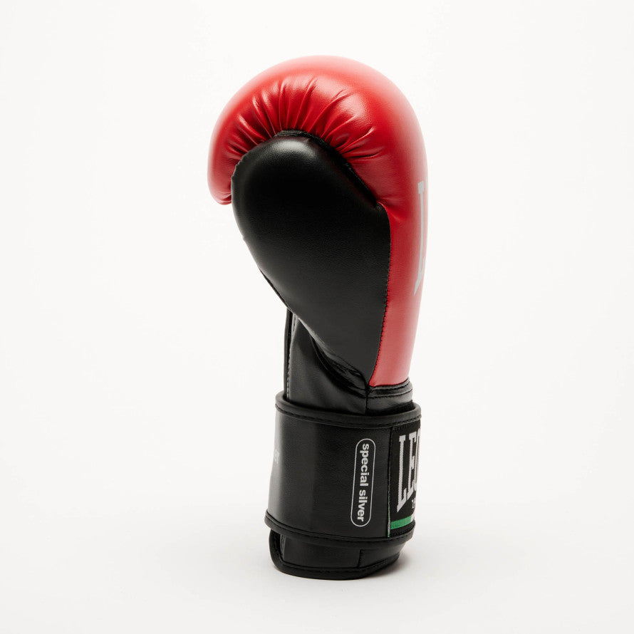 GUANTI BOXE THUNDER LEONE 1947