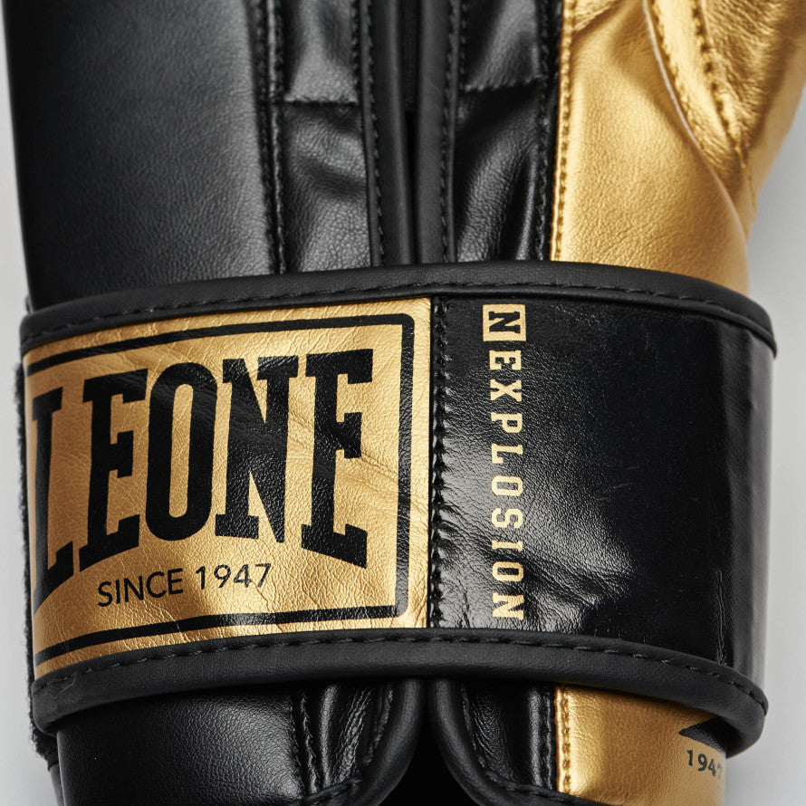 GUANTI BOXE NEXPLOSION