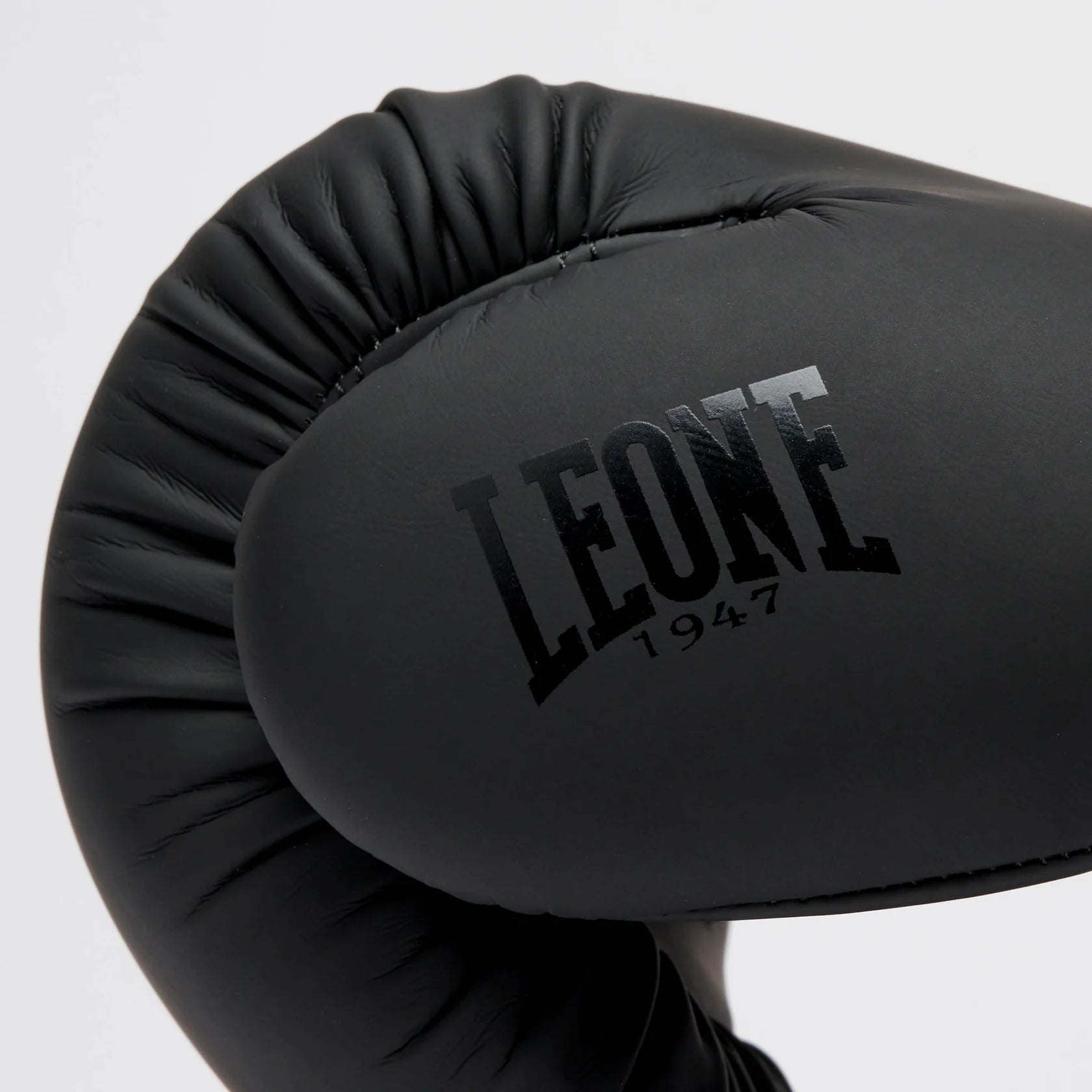 GUANTONI DA BOXE TONE X LEONE 1947