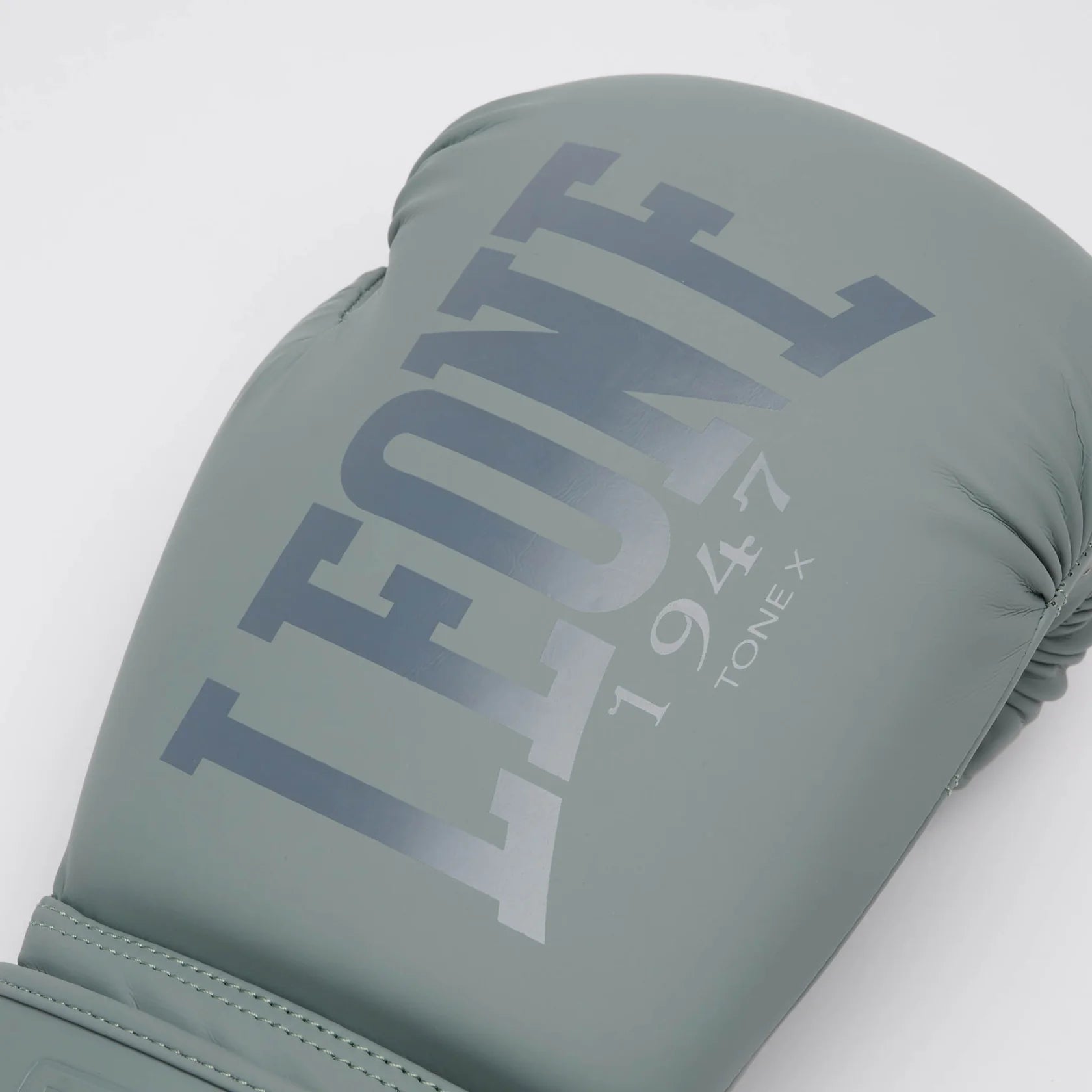 GUANTONI DA BOXE TONE X LEONE 1947