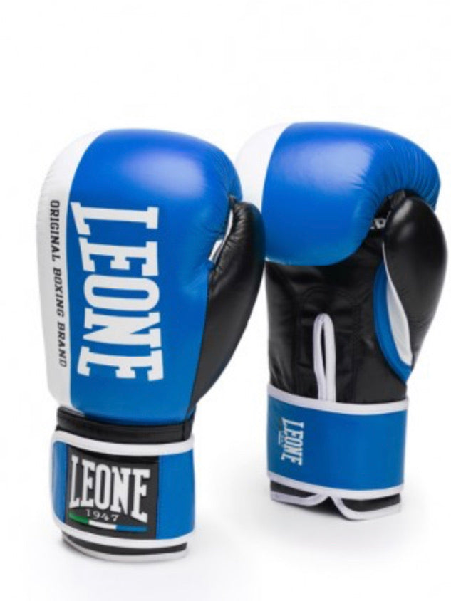GUANTI BOXE CHALLENGER LEONE