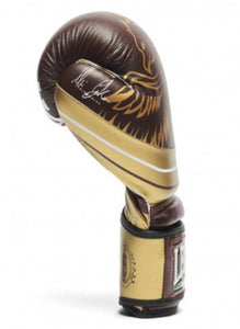 GUANTI BOXE LEGINARIOUS LEONE