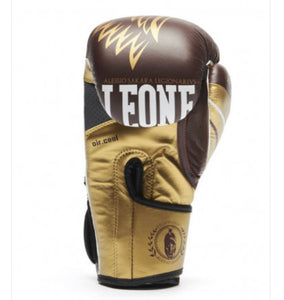 GUANTI BOXE LEGINARIOUS LEONE